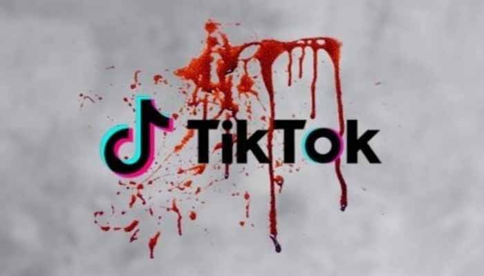 Teen dies as gun accidentally goes off during TikTok shoot in Bareilly