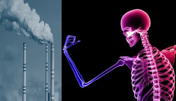 This is how air pollution is worsening your bone health: Study