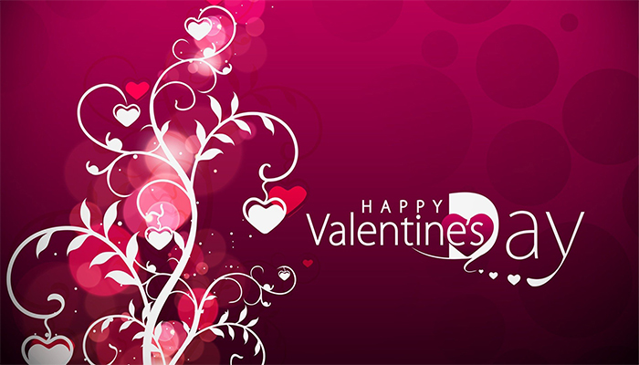 Velantine Day  |  Valentines Day Special 