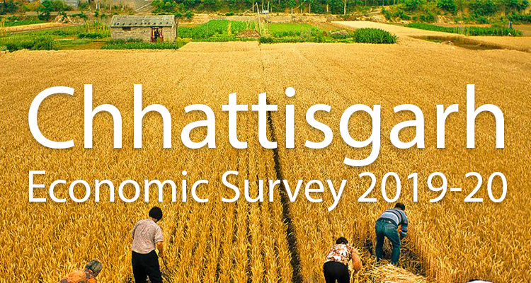 Chhattisgarh per capita income to cross Rs 98k: 2019-20 Economic Survey