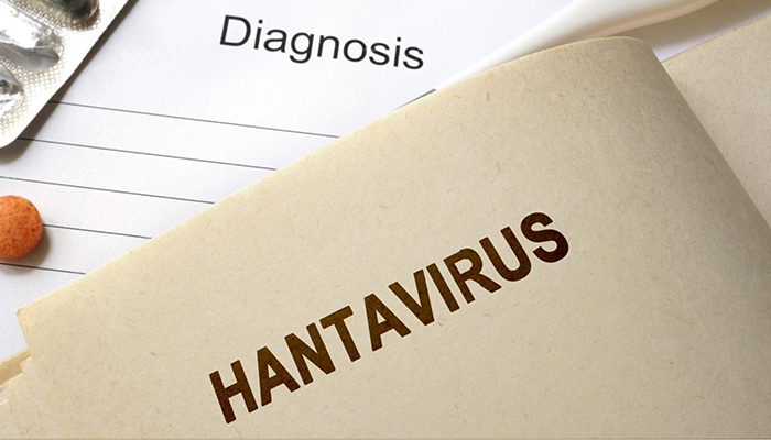 Man dies from hantavirus in China: All you need to know about the virus, and how it spreads