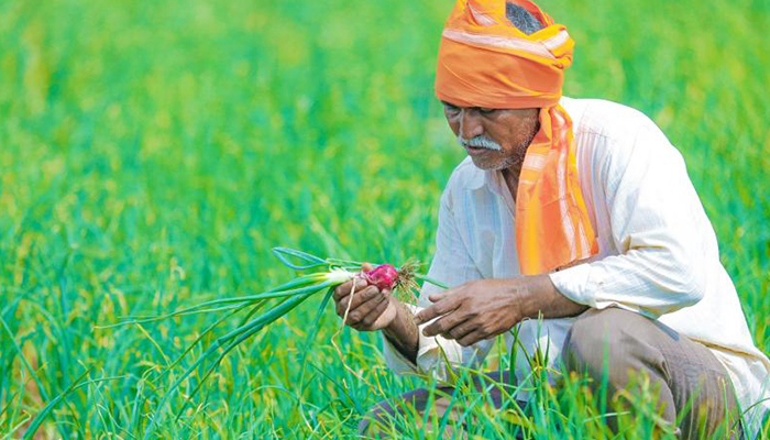 Uttar Pradesh govt to start crop procurement from April 2