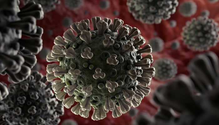 Yemen reports first coronavirus case