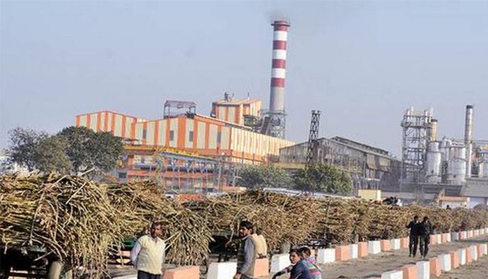 Eight sugar mills in UPs Muzaffarnagar produce record sugar