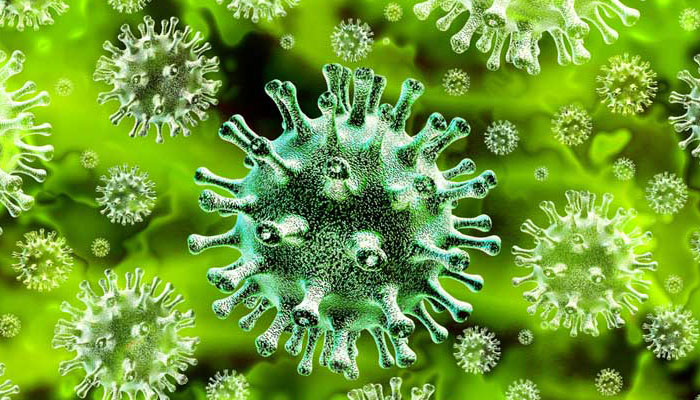 WHO warns, Coronavirus crisis unlikely to be over by the end of the year