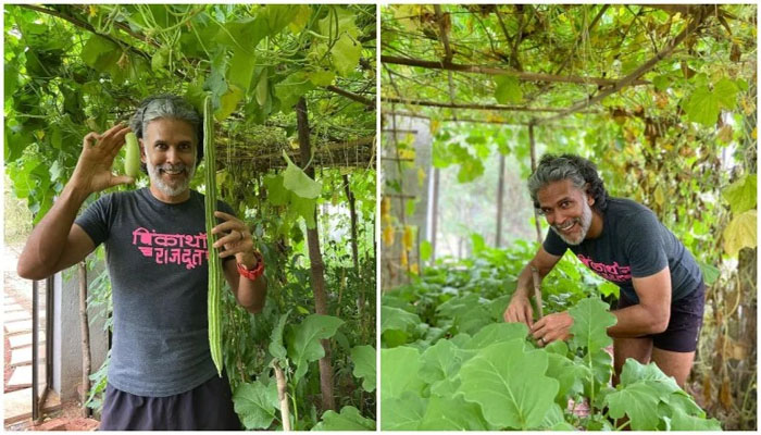 Milind Soman introduces his exclusive greenhouse at home