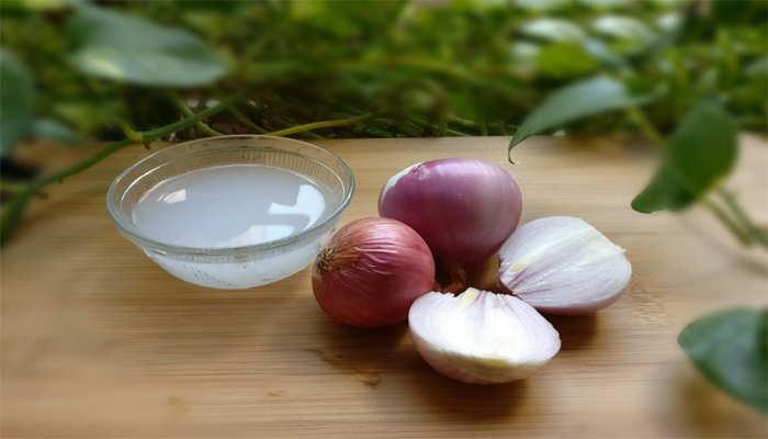 Have Hair Issues? Try this DIY Onion Juice