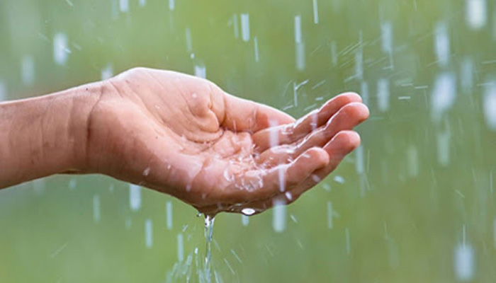 Monsoon Tips: From Ringworm to Eczema, keep fungal infections away