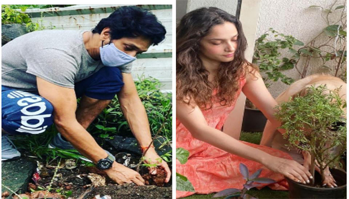 Ankita Lokhande, Mahesh Shetty Joins #Plants4SSR Campaign; SSR fans plant over 1 lakh trees