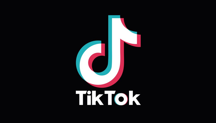 American Govt halts the ban on TikTok after the order of Court