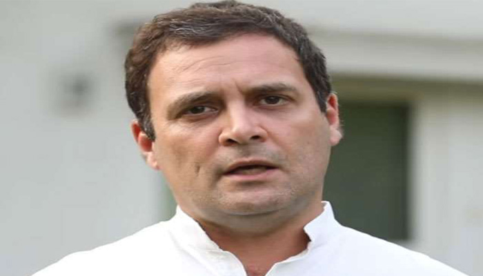Swaraj and nationalism directly related to non-violence: Rahul Gandhi