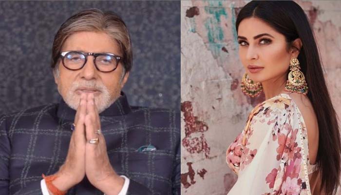 Big B addresses Katrina Kaif as Devi Ji in throwback picture; dont miss the caption!