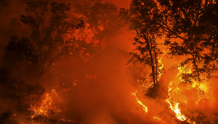 California nears milestone: 4 million acres burned in fires