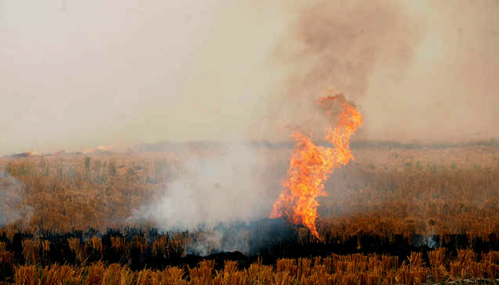 SC notice to Centre, others on plea to ban stubble burning
