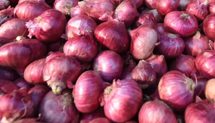 Goa govt to sell onions to ration card holders at Rs 32 per kg