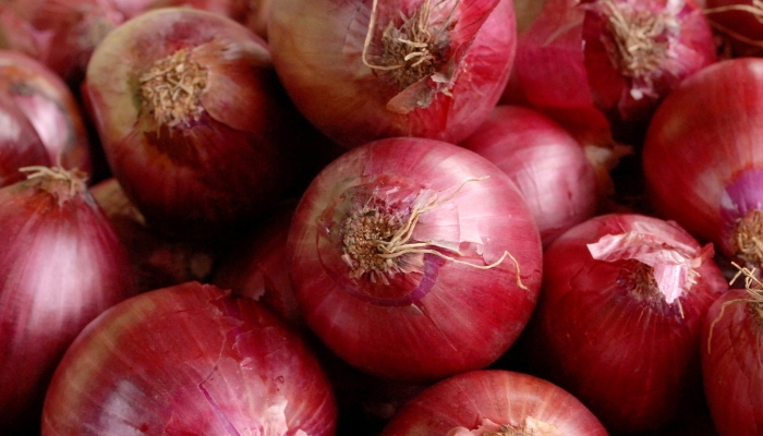 Govt imposes stock limits on onion traders to check prices