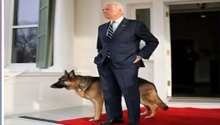 Biden to bring ‘DOTUS – Dogs of the United States’ to White House