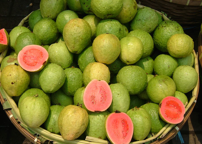Guava3