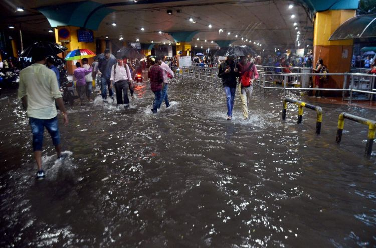 Mumbai deluge: More rains this week, warns IMD