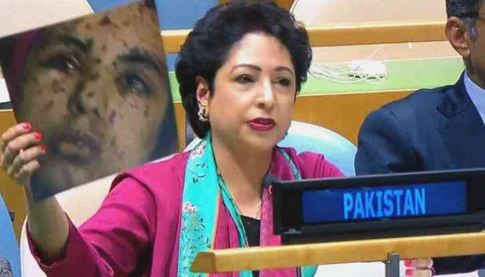 Pakistan goofs up at UN; Maleeha labels Gaza photo as Kashmirs