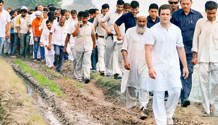 Rahul begins his Gujarat campaign with bullock-cart yatra