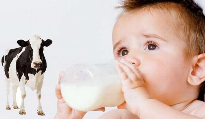 Cows milk harmful for toddlers below one year