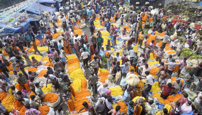 Prayers, drum beats, celebrations mark Maha Saptami in Bengal