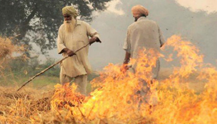 Punjab pollution board urges farmers not to burn stubble