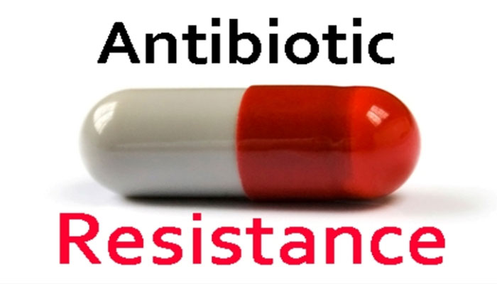 Seventy-six new antibiotic-resistant genes identified: Study