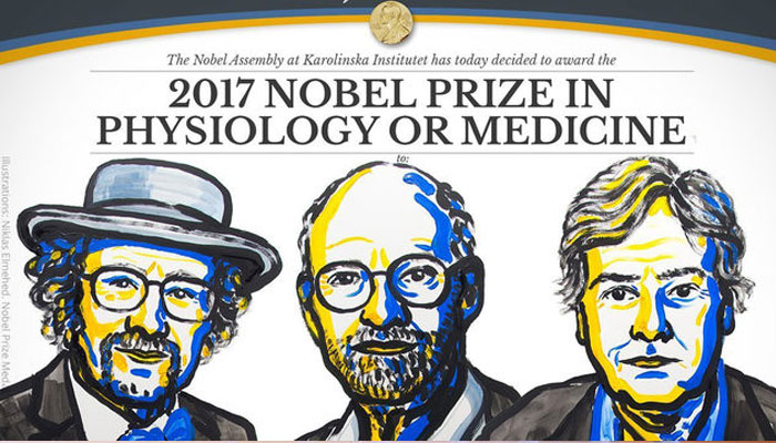 Three US scientists awarded Nobel Prize in Medicine