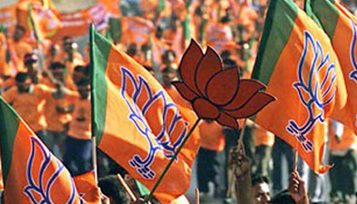 BJP sweeps 14 seats; BSP wins two