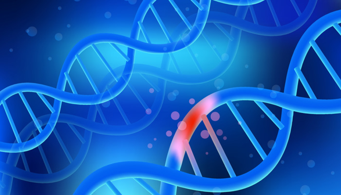 Novel algorithm developed for finding disease-susceptible genes