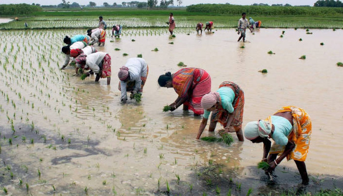 Telangana approves Rs 5 lakh insurance cover to farmers