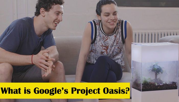 Heres all you want to know about Googles Project Oasis