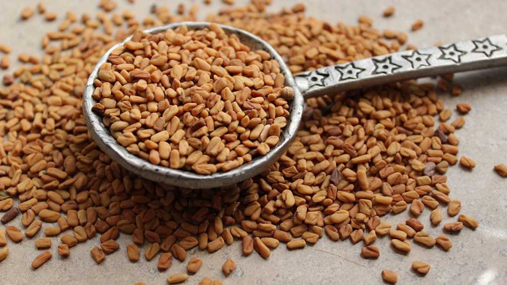 Fenugreek Seeds - Some Easily Found Kitchen Healers to Keep You Healthy - Newstrack