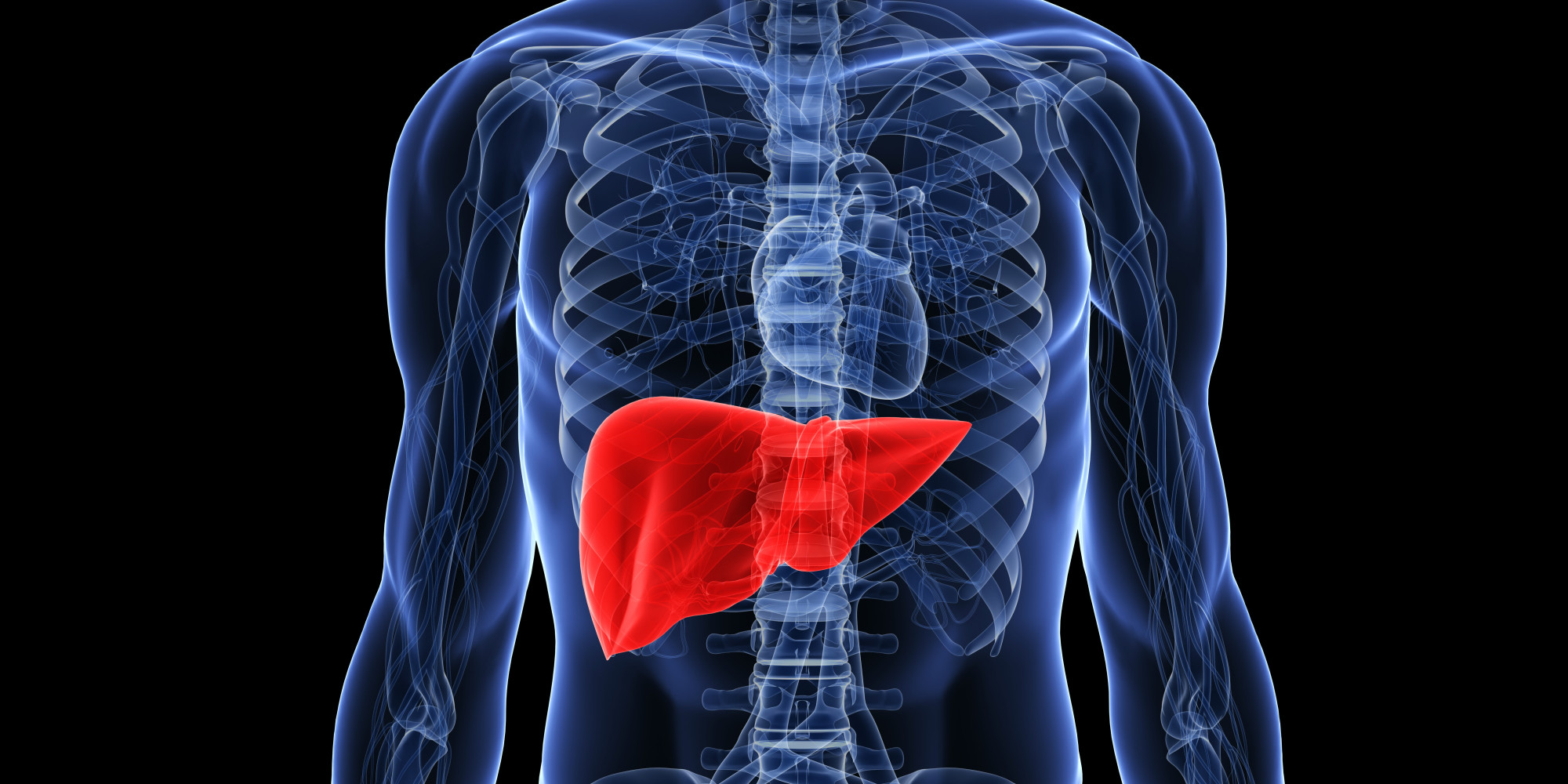 More Americans Are Dying of Cirrhosis and Liver Cancer
