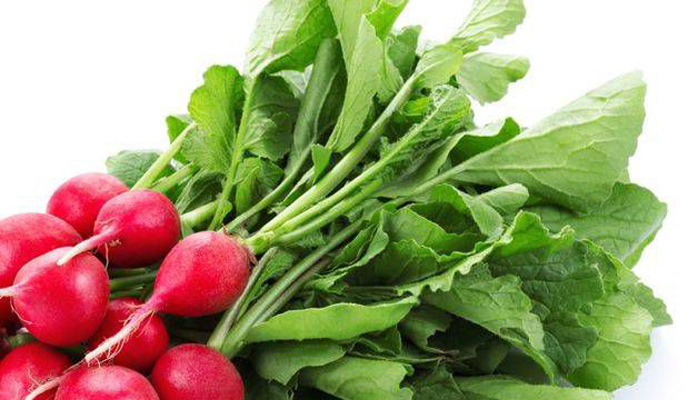 Eating radish may prevent heart disease, stroke