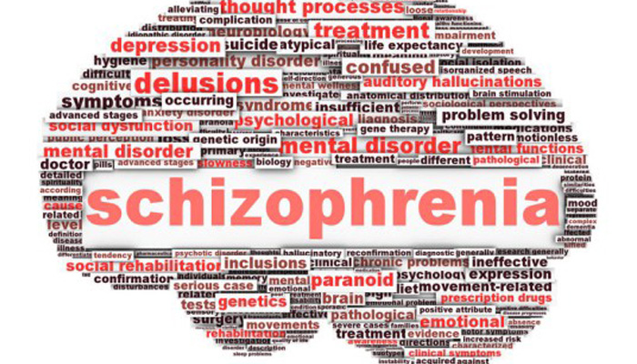 Immune cells in brain play significant role in schizophrenia: Study