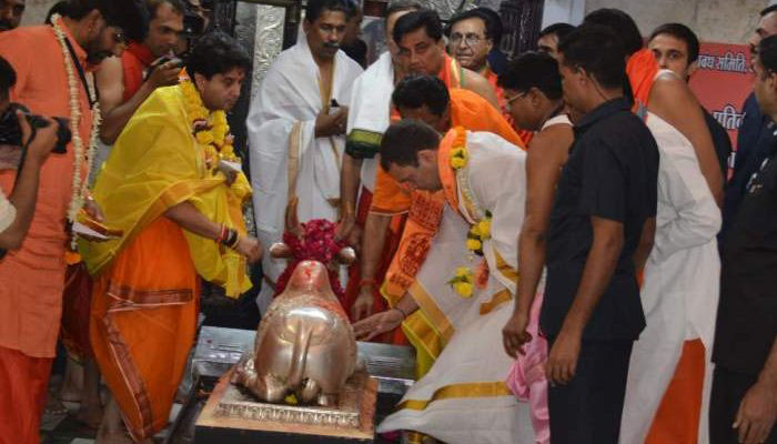 Rahul in Madhya Pradesh; temple visit to precede rallies