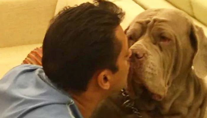 Salman mourns over the death of his beloved pet MyLove