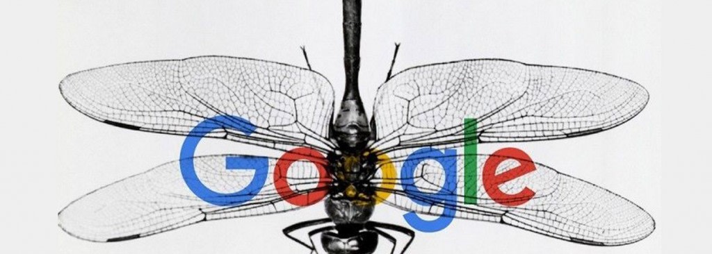 Trump administration asks Google to shun China Search project dragonfly