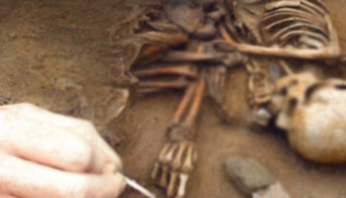 Over 15 human skulls, 34 skeletal remains recovered from Bihar